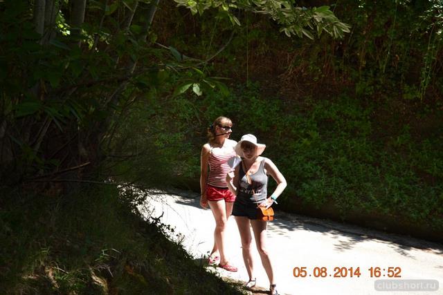 22585_image42.jpg